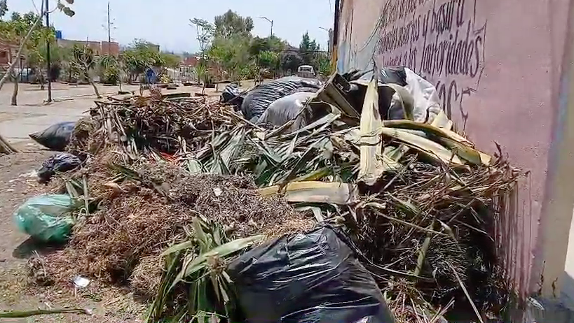 Captura de Pantalla 2025-05-15 a la(s) 12.27.47